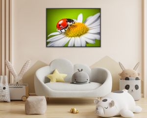 Ladybug on a daisy flower